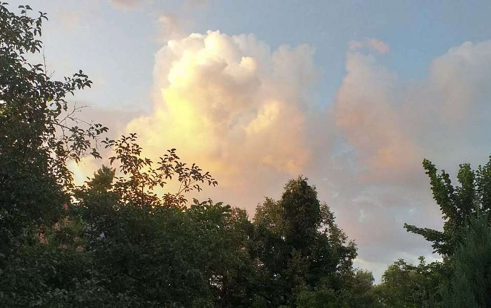 Прогноз погоды на понедельник, 8 сентября, дали воронежские синоптики