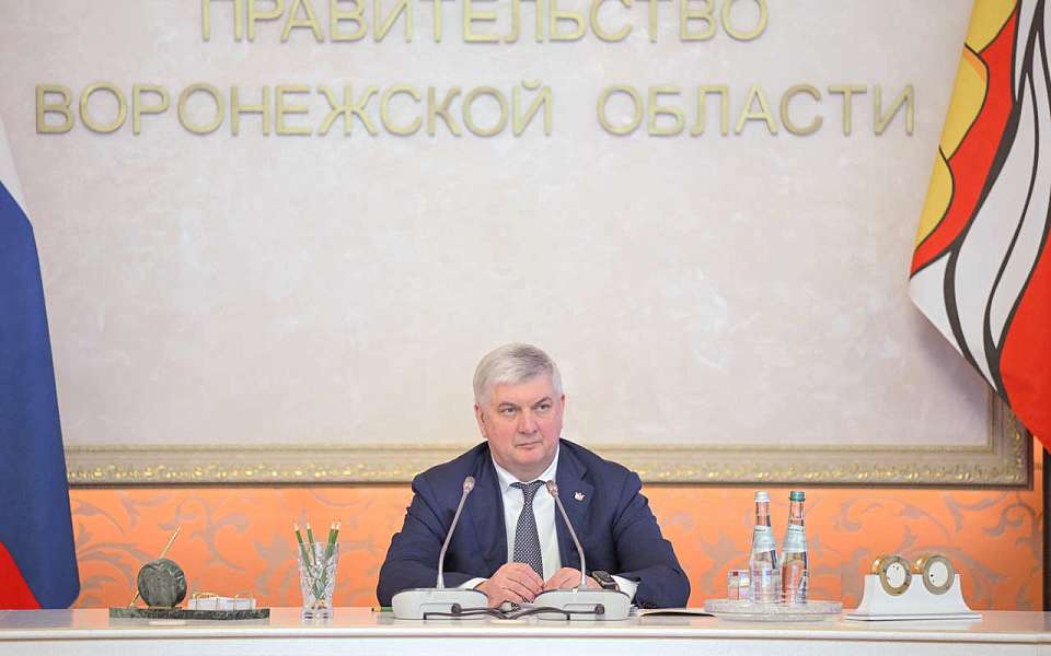 Об усилении поддержки многодетных семей заявили власти Воронежской области