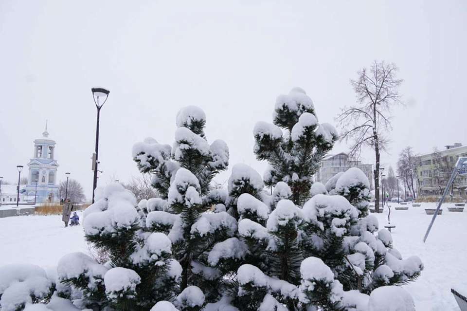 Морозный и облачный день ожидает 5 февраля воронежцев