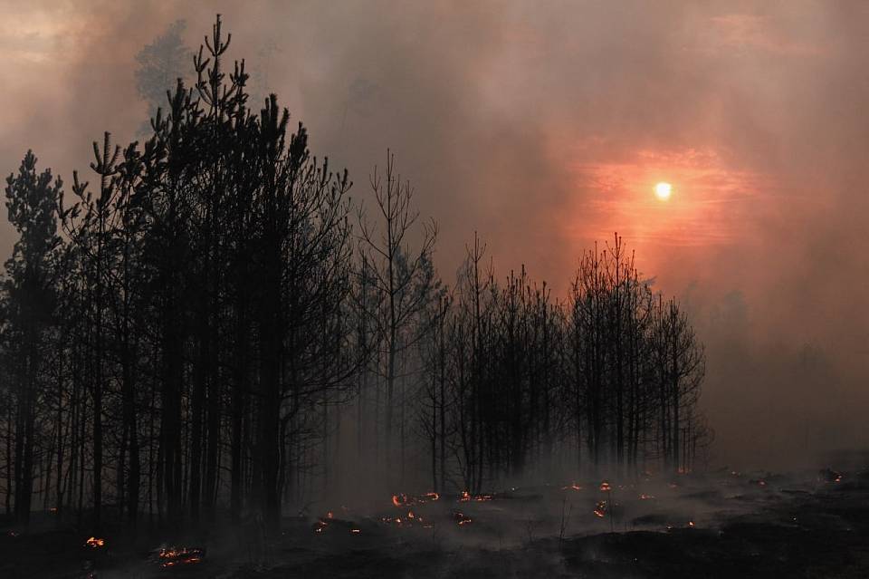 В Воронежской области пока не удается победить пожары