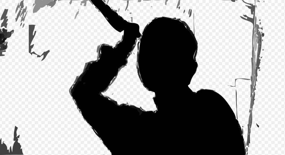 Бастрыкин заинтересовался делом о ножевой обороне жертвы буллинга в Воронеже