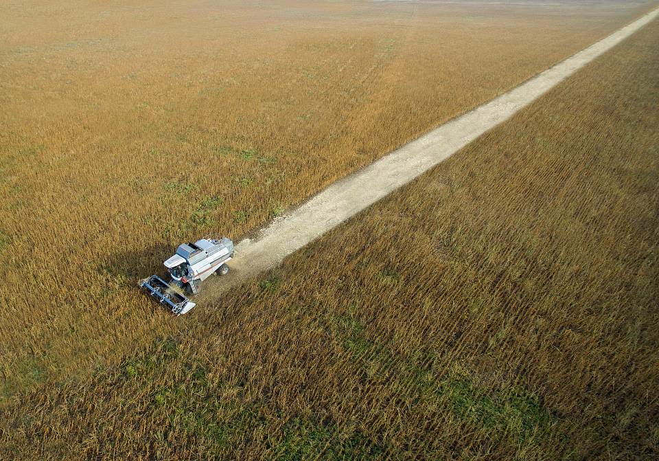 В Воронежской области собрали самый большой урожай зерна за всю историю региона