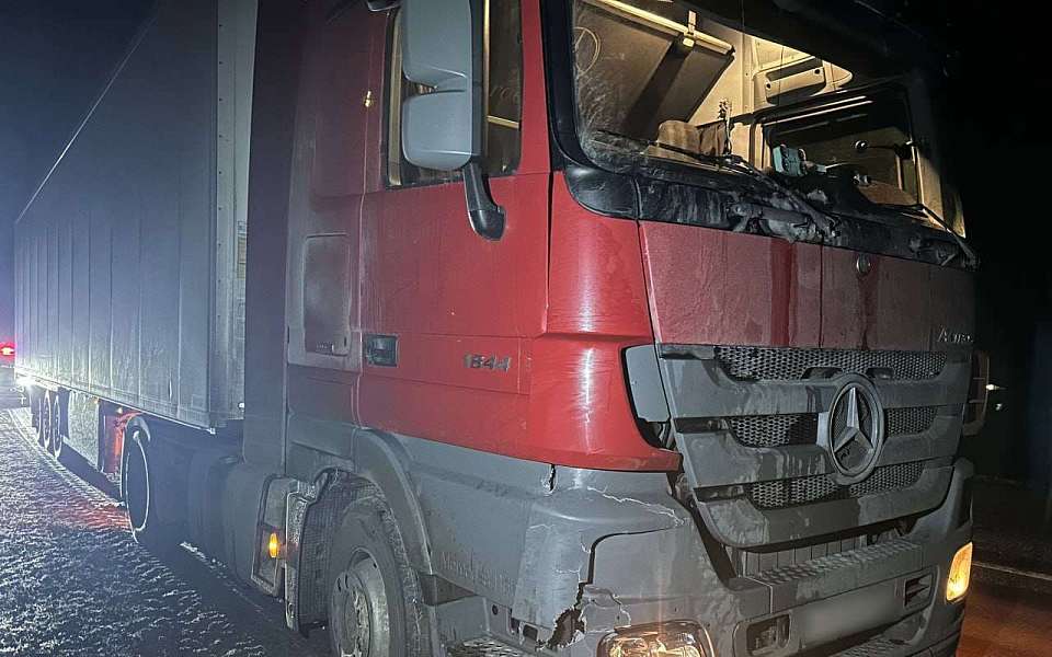 Под Воронежем грузовик насмерть сбил пешехода