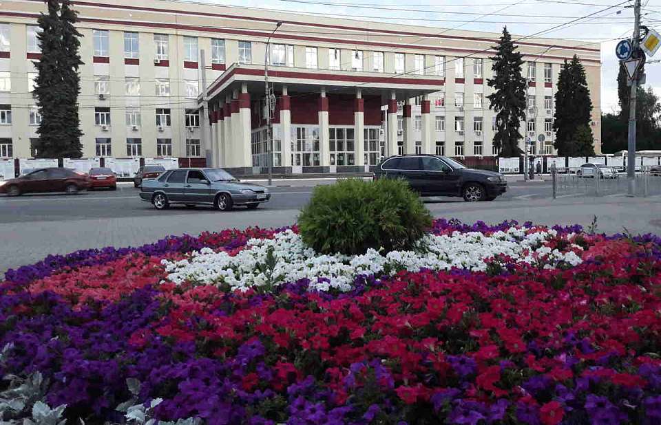 На озеленение Воронежа направят до 48,3 млн рублей