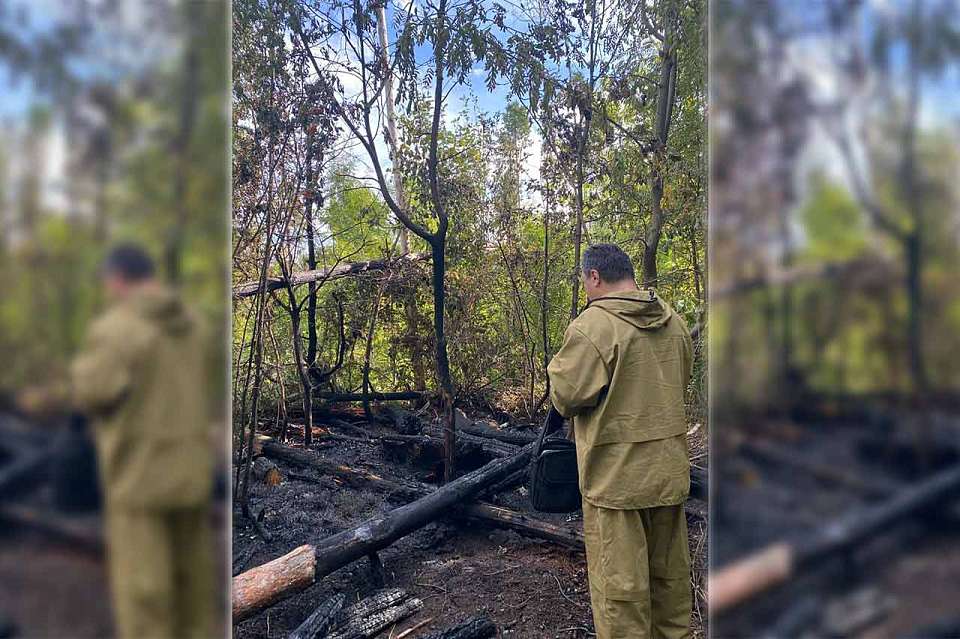 Ущерб от пожара в Северном лесу Воронежа оценят экологи