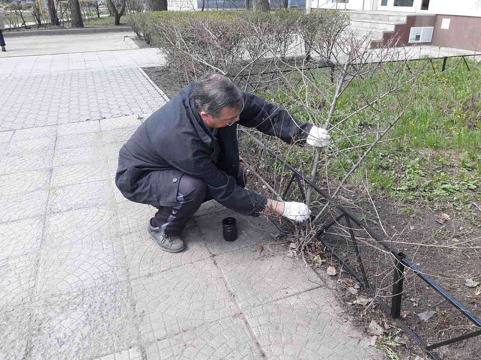 Мэр Воронежа возмутился субботником на территории строящегося приюта для собак