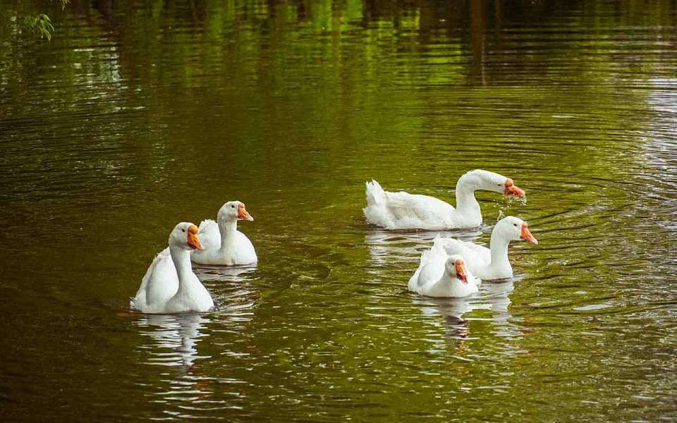 Какой будет погода в четверг, 15 августа, рассказали воронежские синоптики