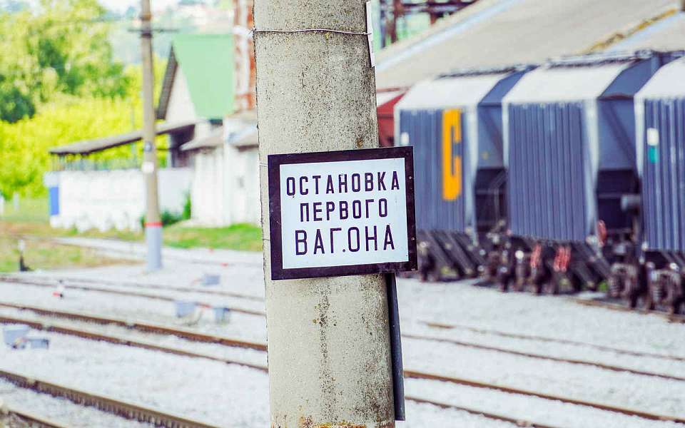 Более чем на 3 часа были задержаны в пути поезда в Воронежской области