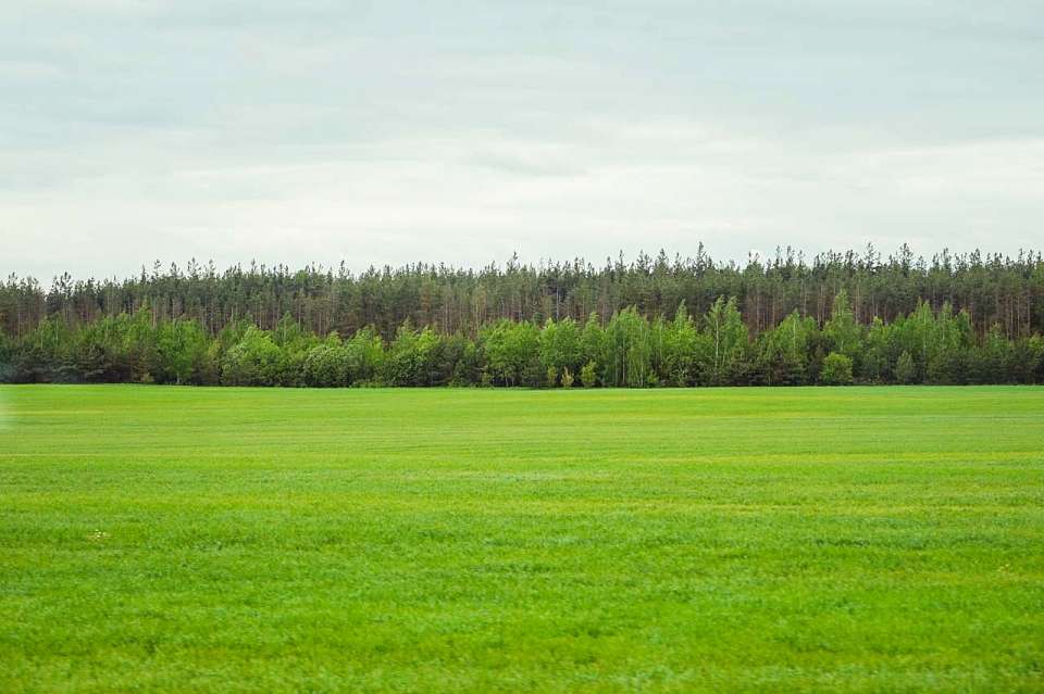 Стали известны границы и площадь территории для строительства индустриального парка «Масловский-2» под Воронежем