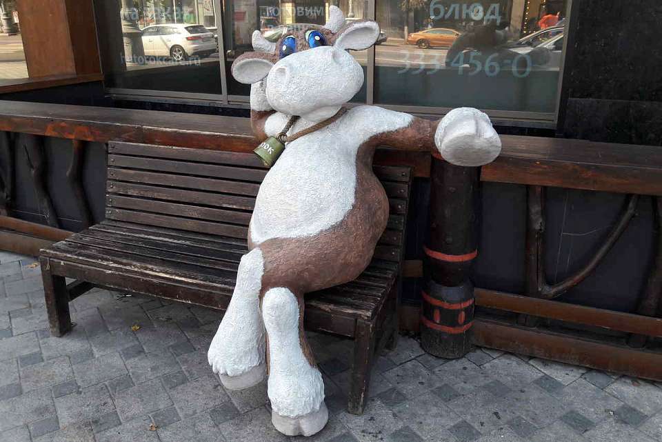 Под предлогом создания животноводческой фермы воронежец выманивал у жертв деньги