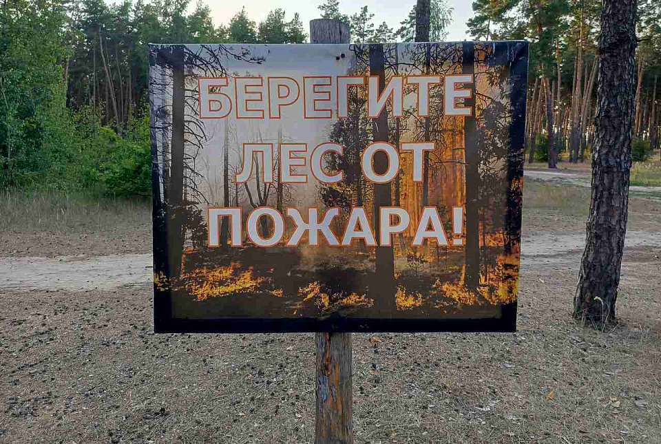 Пожарная опасность III класса сохраняется в Воронежской области