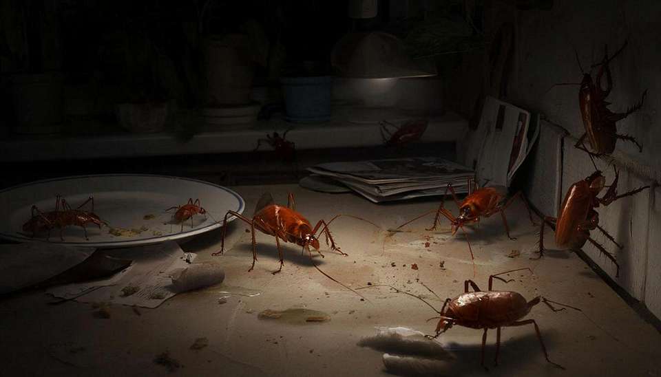 Жители Воронежа замуровали квартиру с тараканами