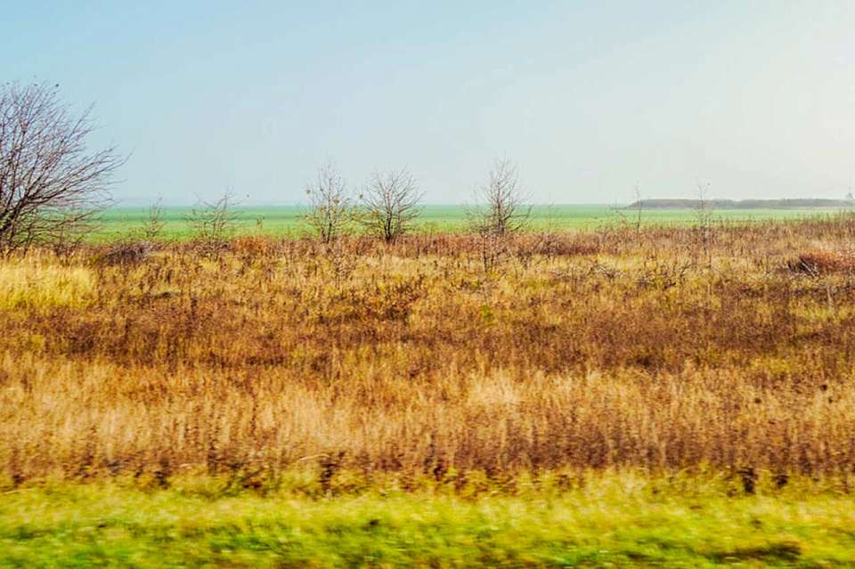 Более миллиона туристов посетило Воронежскую область в 2025 году