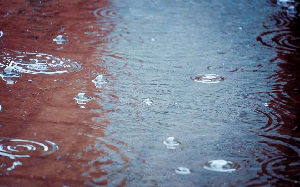 Какой будет погода 9 апреля в Воронеже и области