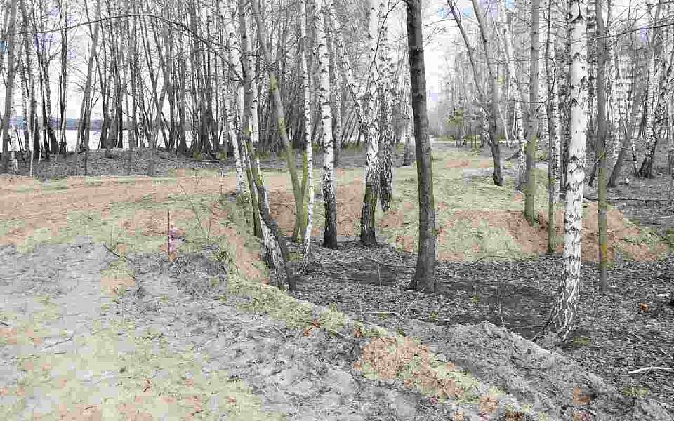 На набережной Артамонова в Железнодорожном районе началось благоустройство