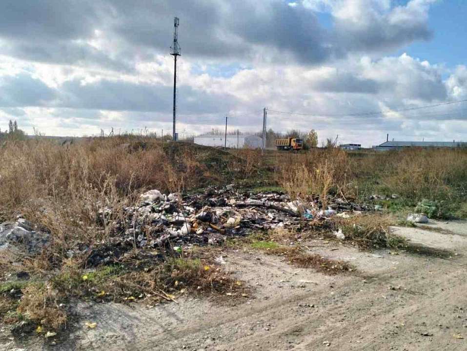 На территории заказника в Воронежской области обнаружили несколько свалок