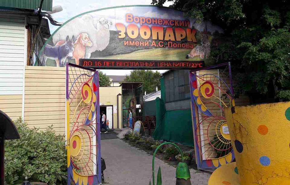 На охрану Воронежского зоопарка выделили почти 6 млн рублей
