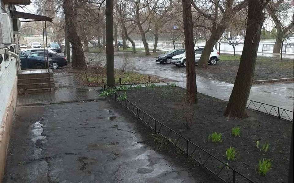 Похолодает до +2 градусов в середине апреля в Воронежской области