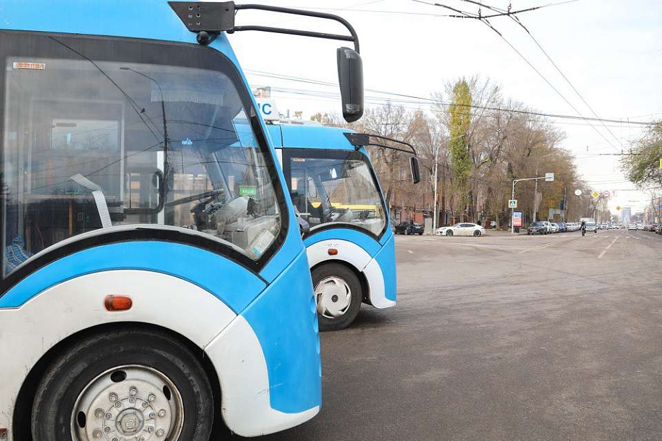На Госсовете одобрили опыт Воронежа по улучшению транспорта