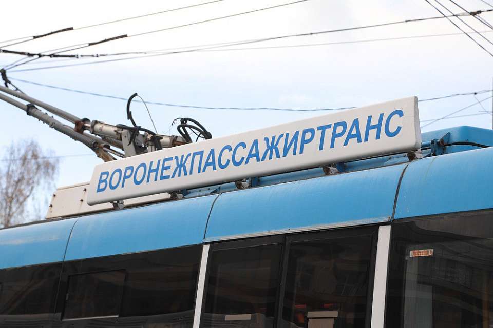 Что будет в Воронеже 13 февраля. Никита – пожарник. Всемирный день радио. Желтый уровень погодной опасности. Приостановка работы троллейбуса №99