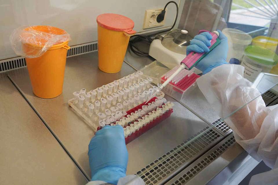 Как отражается на Воронеже российская вспышка менингококковой инфекции и почему ею болеют все больше взрослых