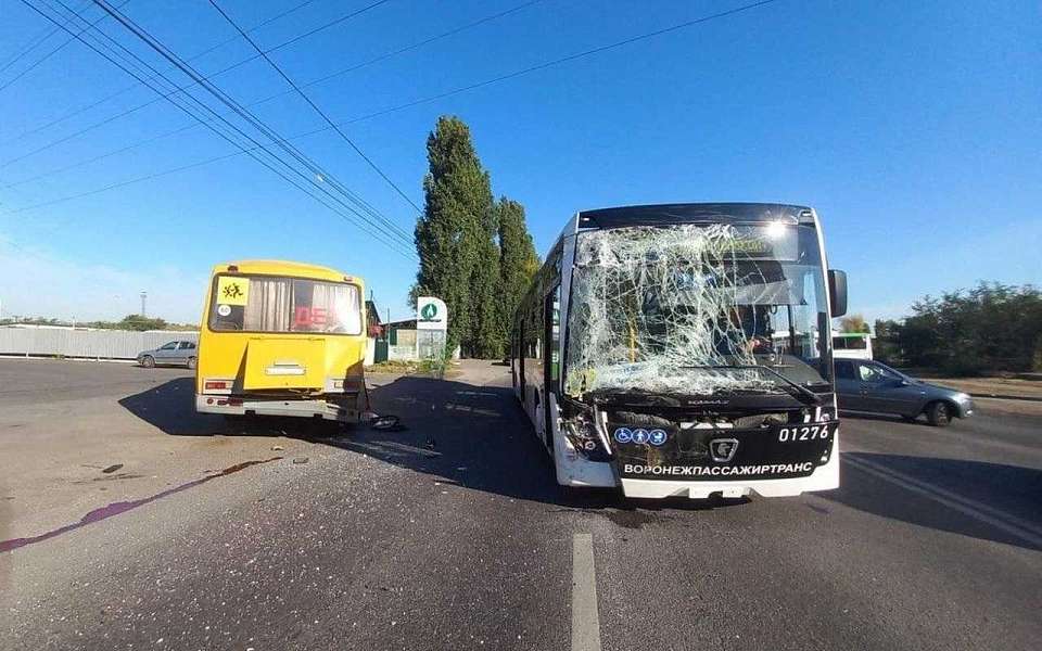 Школьный и рейсовый автобусы столкнулись в Воронеже