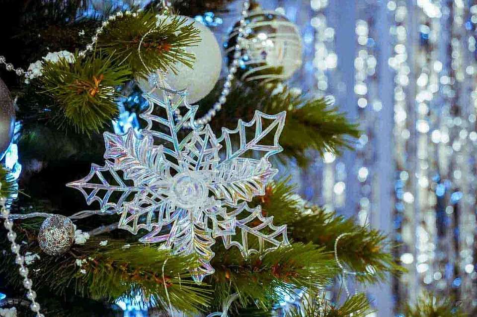 Стал известен предварительный новогодний прогноз погоды в Воронеже