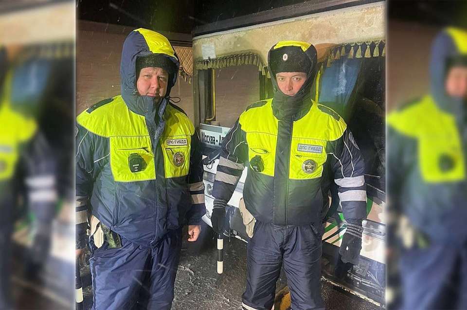 Воронежские автоинспекторы помогли 59 пассажирам сломавшегося автобуса