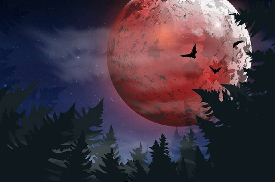 «Кровавая луна» покажется ночью 28 октября воронежцам