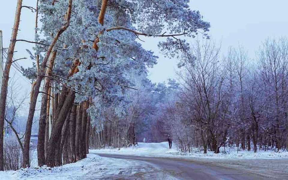 Аномальные морозы накроют до 19 января Воронежскую область