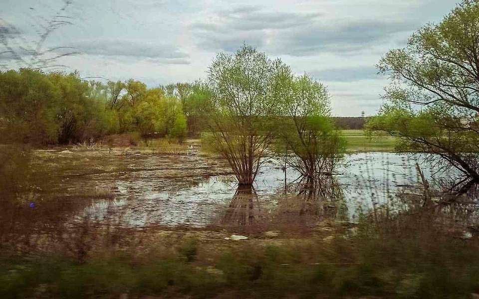 О бесследном исчезновении 19 человек заявили в Воронежской области