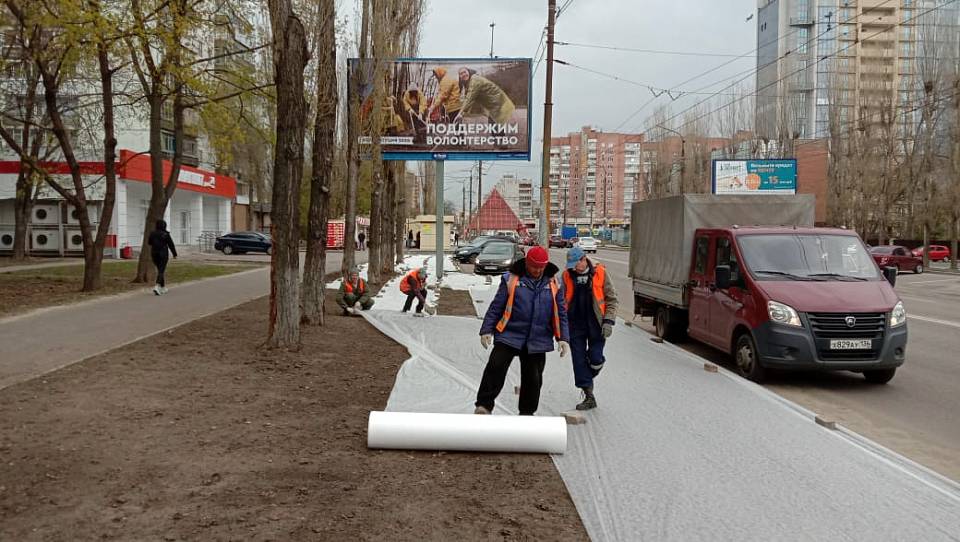 В Коминтерновском районе приступили к покосу травы на улицах