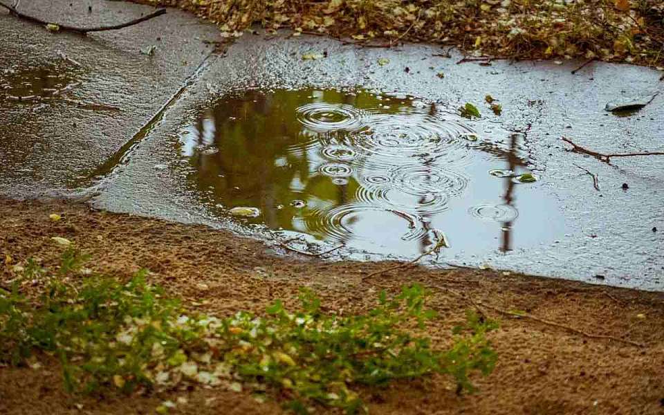 Дождливая и пасмурная погода задержится в Воронеже 12 ноября на весь день