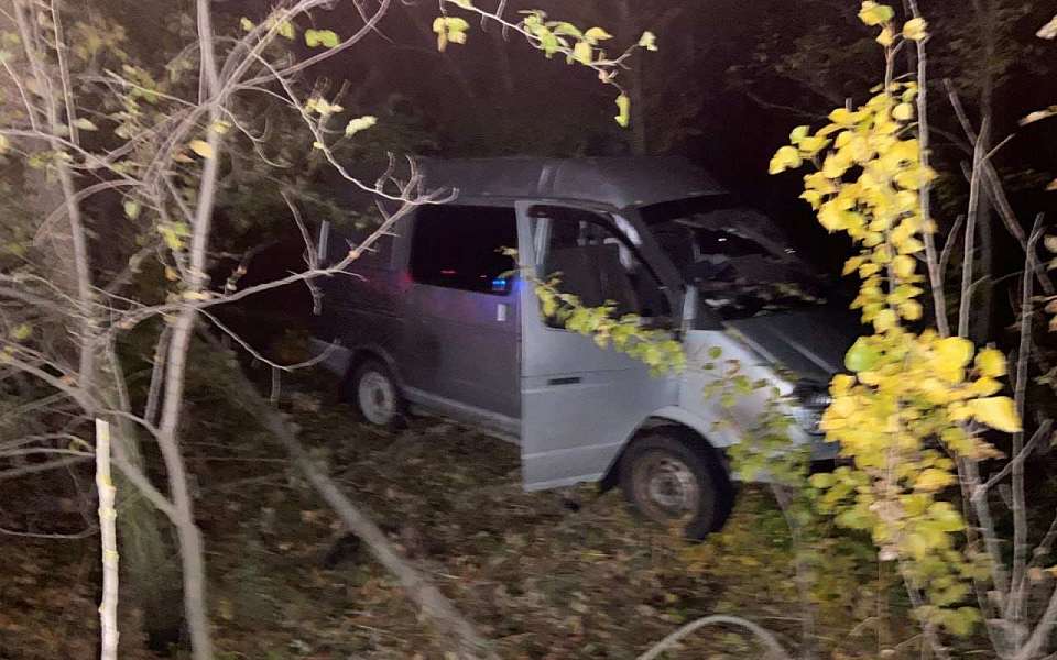 Насмерть разбился о дерево водитель микроавтобуса «Соболь» под Воронежем