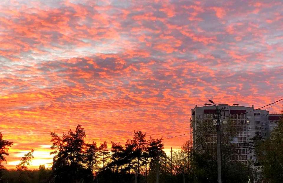 Очень сильная магнитная буря 20 января накрыла Воронеж