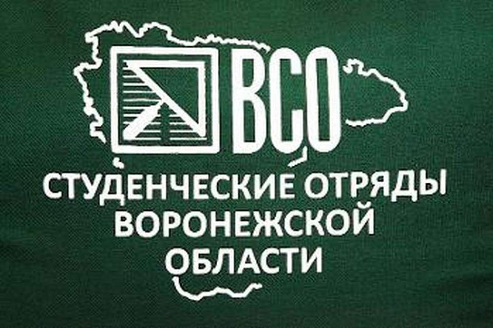 Воронежские студотрядовцы подвели итоги трудового семестра