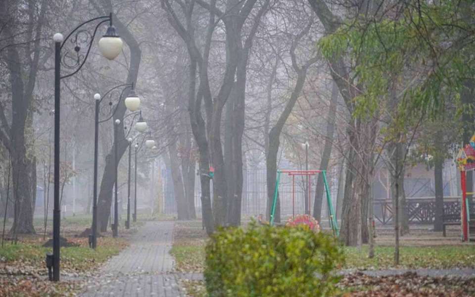 Туманный день ожидает 27 ноября воронежцев