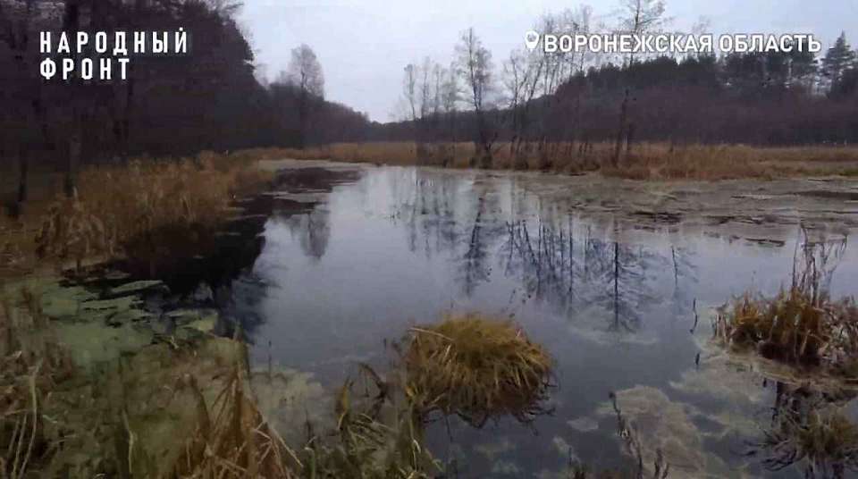 Из-за состояния реки в Воронежском заказнике активисты забили тревогу