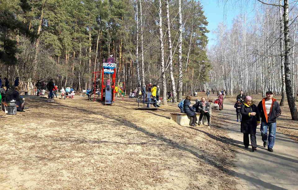 Потепление до +7 градусов ожидается 9 марта в Воронежской области