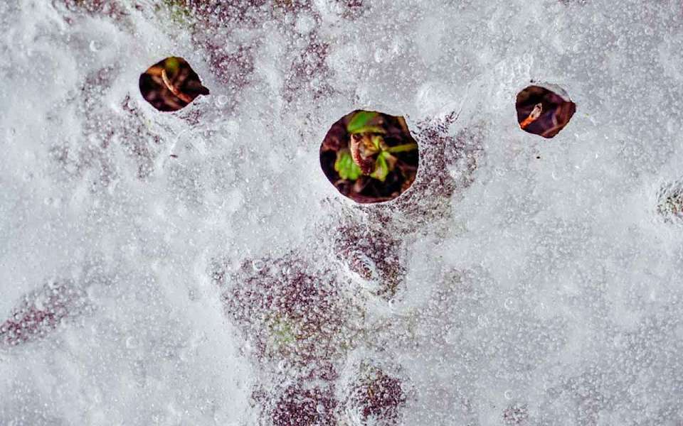 Когда потеплеет в Воронеже, рассказали в Гидрометцентре