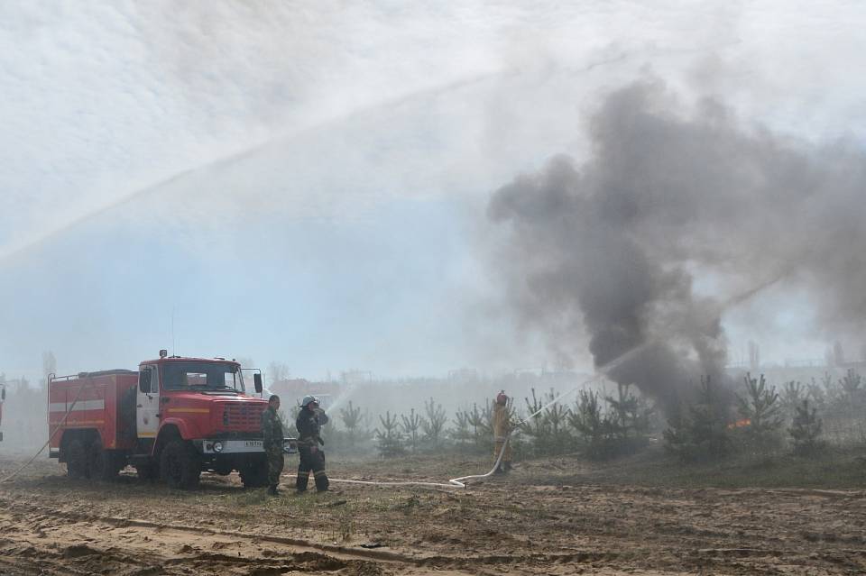 В Воронеже увеличилась площадь лесных пожаров