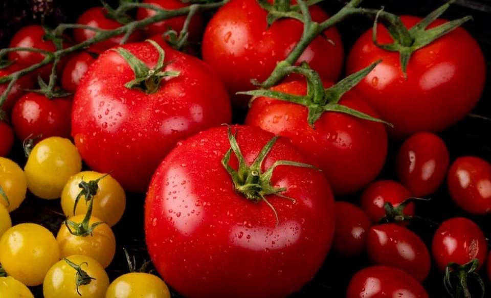 В Воронежской области взлетели цены на свежие помидоры