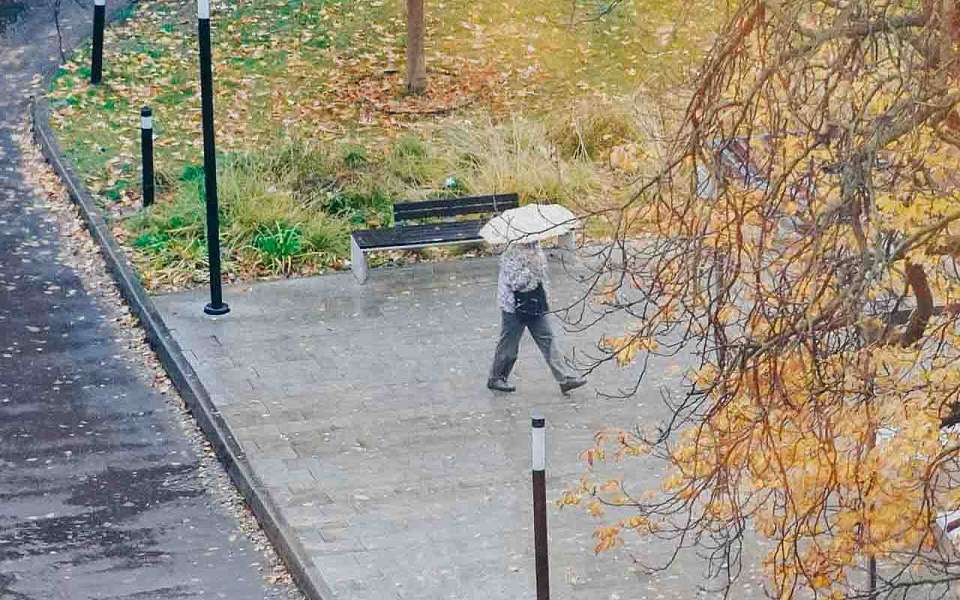 К какой погоде приготовиться воронежцам в понедельник, 17 ноября, рассказали синоптики