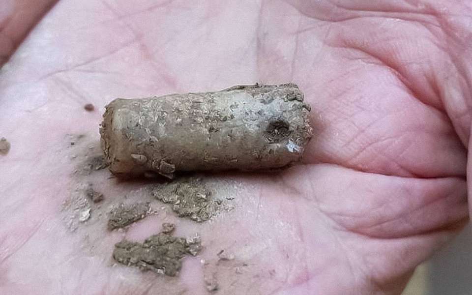 Уникальное древнее украшение из моллюска нашли под Воронежем