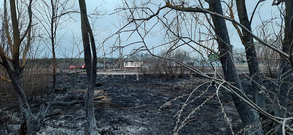 Воронежские спасатели предупреждают о грядущих пожарах