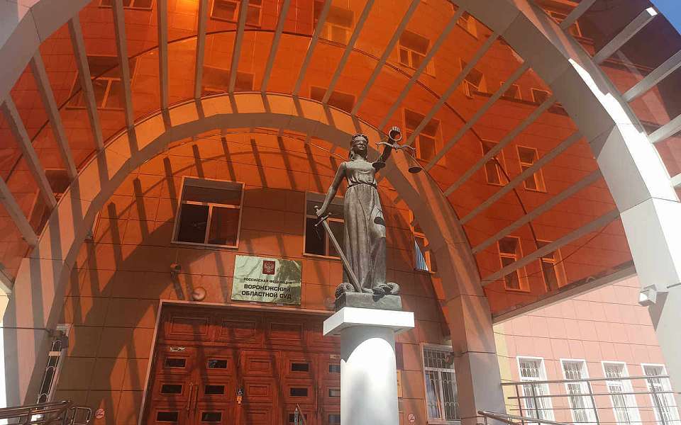 Облсуд отменил право собственности на самовольную постройку на улице Чебышева в Воронеже
