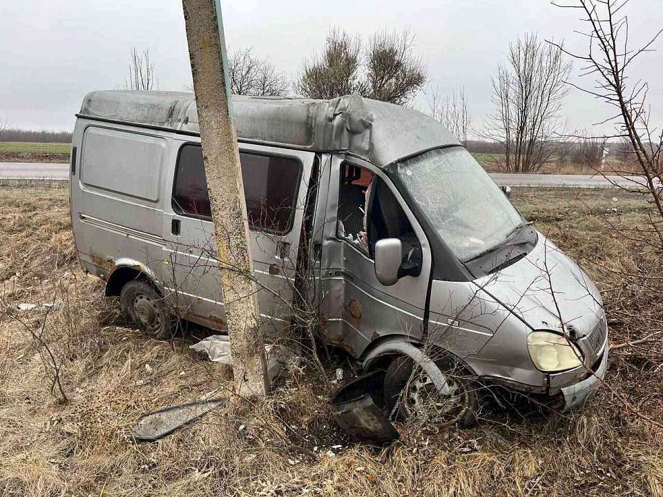 «Газель» вылетела в кювет на воронежской трассе