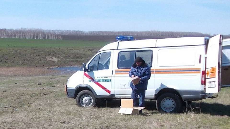 Мину и артснаряд взорвали в Воронежской области