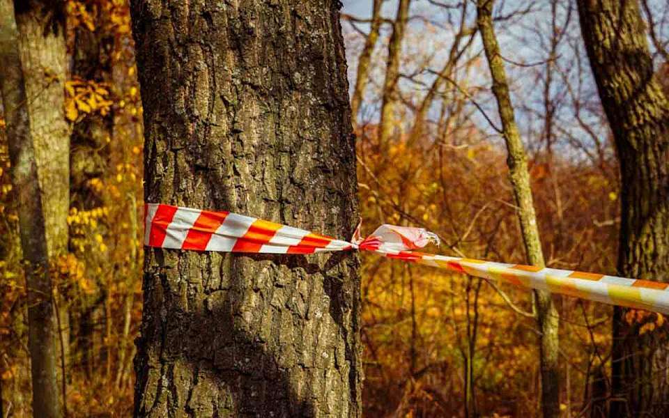 Заявили об исчезновении 26 человек в Воронежской области