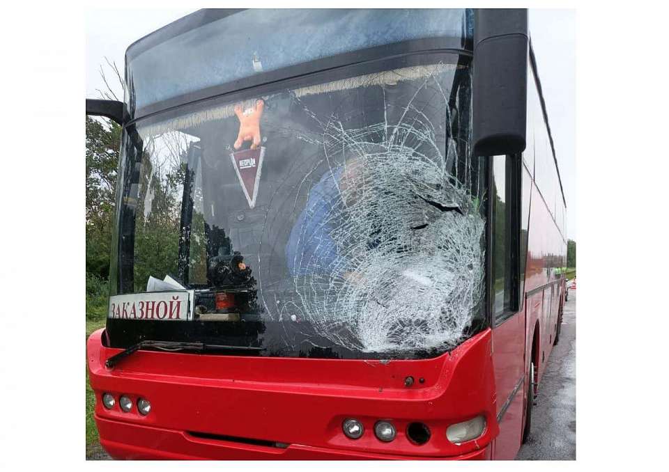 Автобус ночью насмерть сбил неизвестного пешехода на воронежском участке М-4 «Дон»